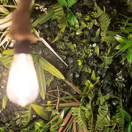 Eden Urbain Hypercentre Apartment