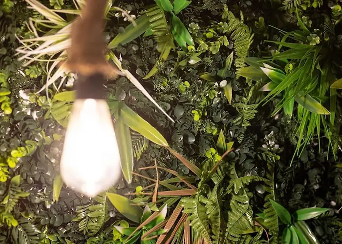 Eden Urbain Hypercentre Appartement